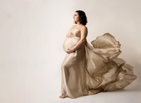 Arielle Maternity-1