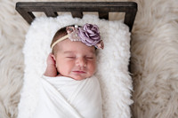 Maureen Alestra Photography